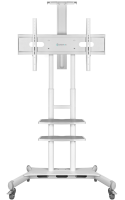 ONKRON стойка для телевизора с кронштейном 55"-80", мобильная, белая TS1881 - вид 1 миниатюра